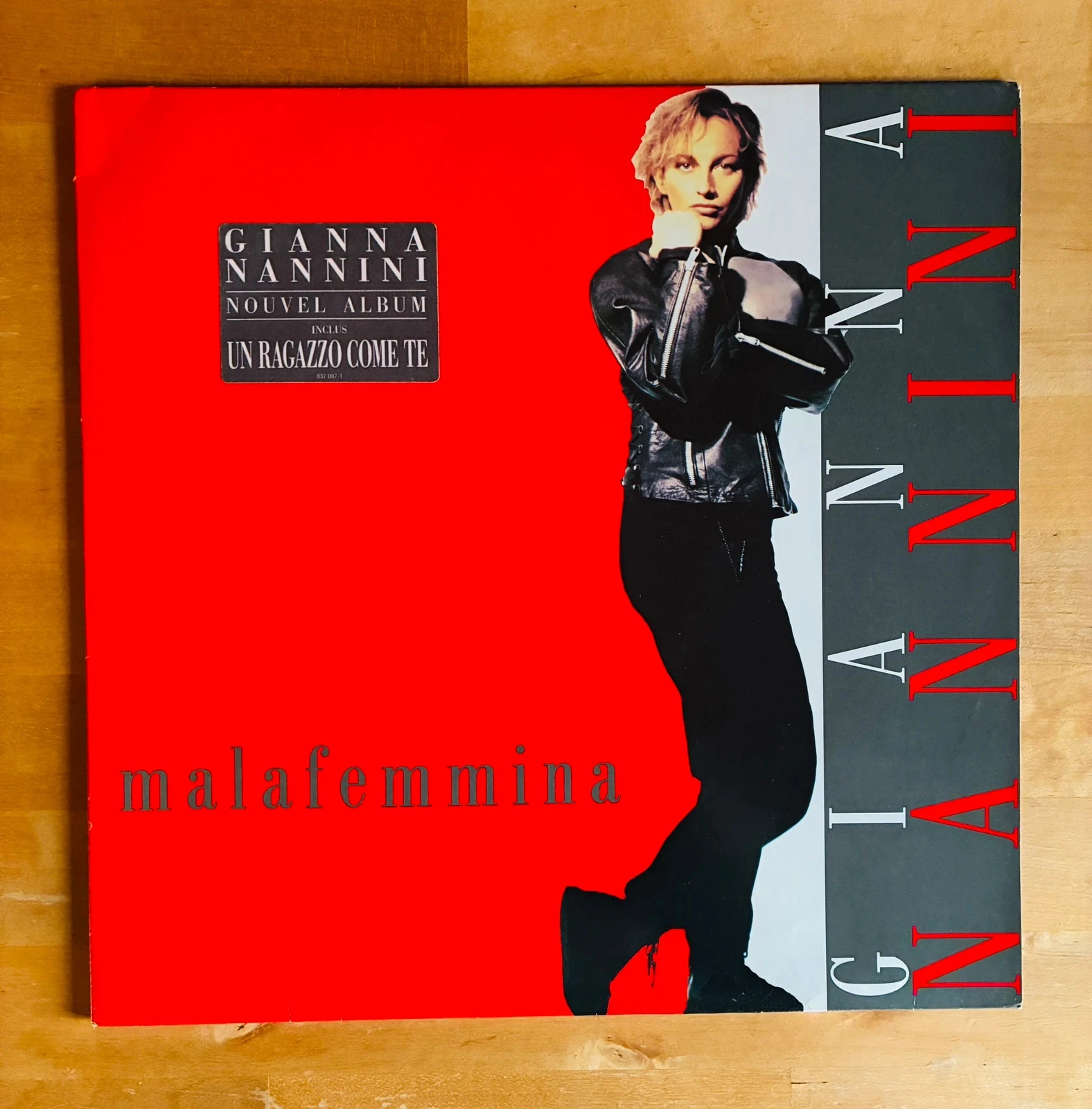 Disque vinyle 33T Gianna Nannini Malafemmina.